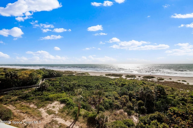 6770 Ridgewood Ave Unit 301, Cocoa Beach, FL 32931 - photo 34