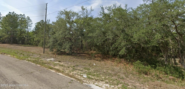 6940 N Lime Dr, Dunnellon, FL 34433 - photo 1