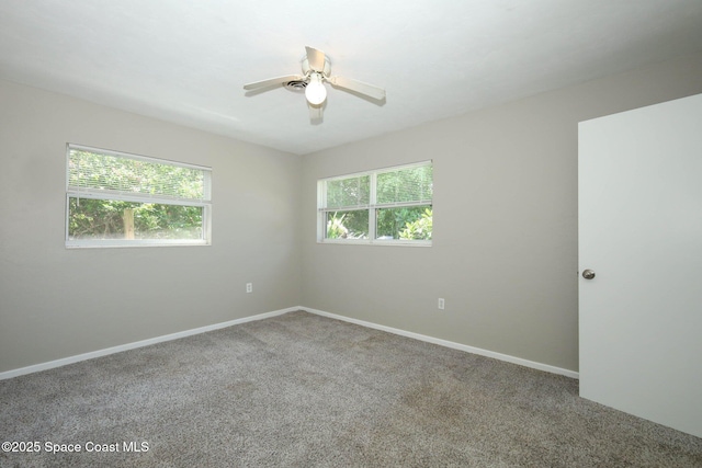 904 Hall St, Melbourne, FL 32901 - photo 18