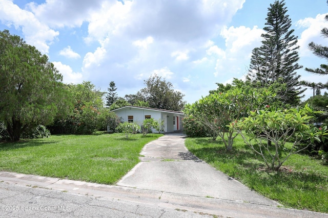 904 Hall St, Melbourne, FL 32901 - photo 40