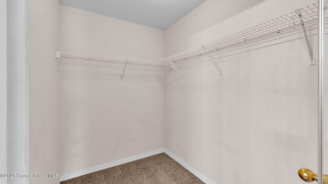 6743 Highlands Creek Blvd, Lakeland, FL 33813 - photo 32