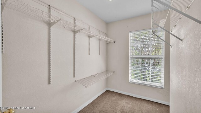 6743 Highlands Creek Blvd, Lakeland, FL 33813 - photo 33