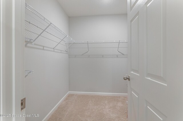 3719 Maya Pl SE, Palm Bay, FL 32909 - photo 19