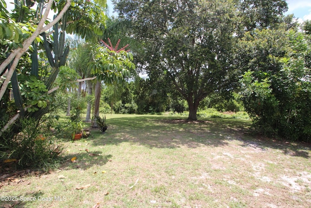 1252 Caspian Ct NE, Palm Bay, FL 32905 - photo 34