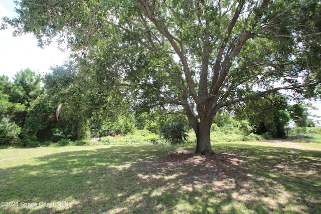 1252 Caspian Ct NE, Palm Bay, FL 32905 - photo 35