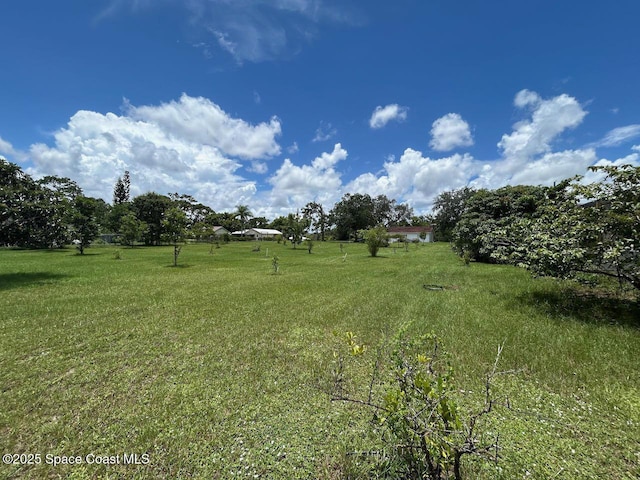 101 S Singleton Ave, Titusville, FL 32796 - photo 6