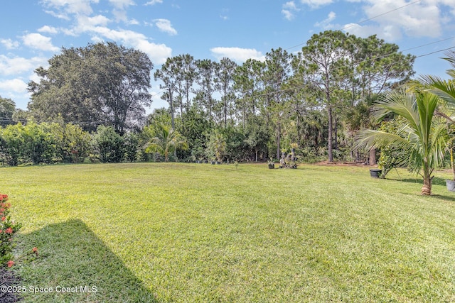 1491 Sandusky St SE, Palm Bay, FL 32909 - photo 18
