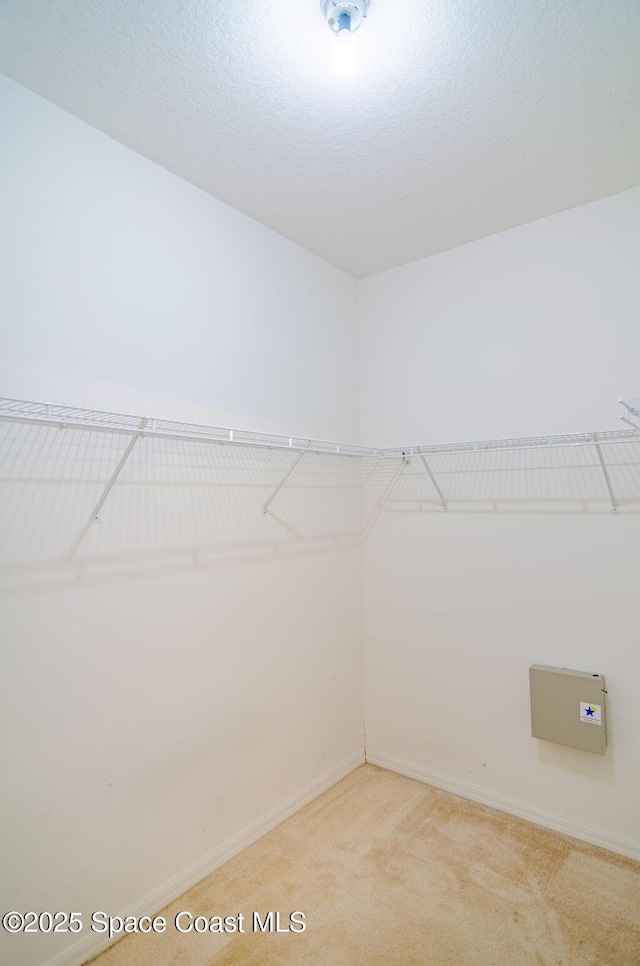 3547 Mount Carmel Ln, Melbourne, FL 32901 - photo 27