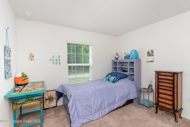 1317 Valerius St SE, Palm Bay, FL 32909 - photo 19