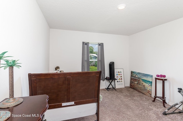 1317 Valerius St SE, Palm Bay, FL 32909 - photo 15