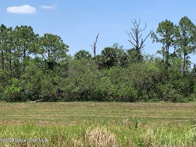 1235 Kylar Dr NW, Palm Bay, FL 32907 - photo 11