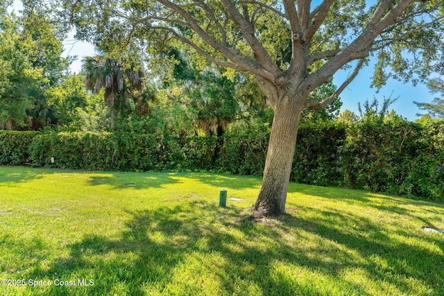 1377 Hampton Park Ln, Melbourne, FL 32940 - photo 33