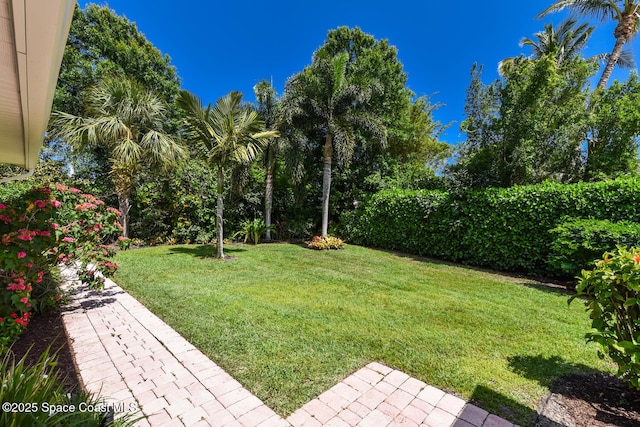 7 Lantana Ln, Stuart, FL 34996 - photo 24