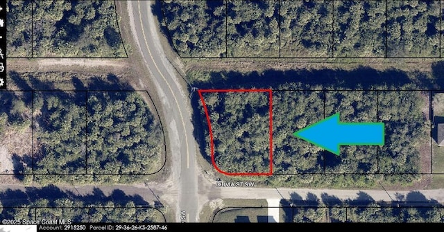 797 Olivia St SW, Palm Bay, FL 32908 - photo 4