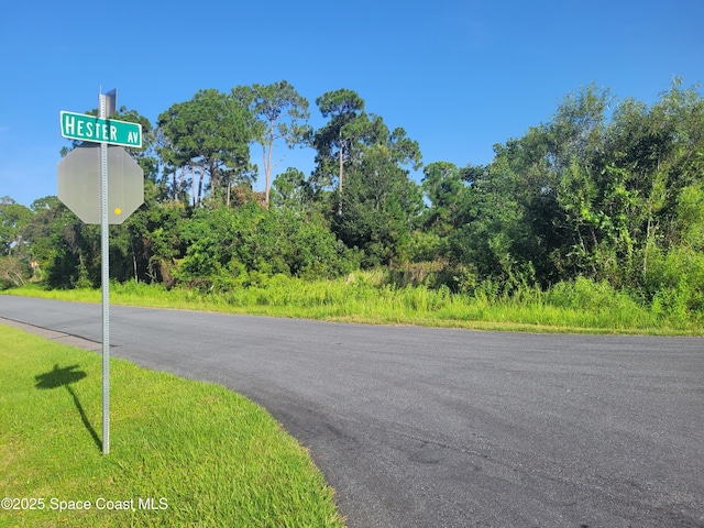 0000 Corner, Hester Ricardo, Palm Bay, FL 32909 - photo 1