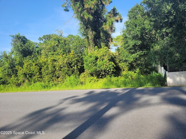 0000 Corner, Hester Ricardo, Palm Bay, FL 32909 - photo 3