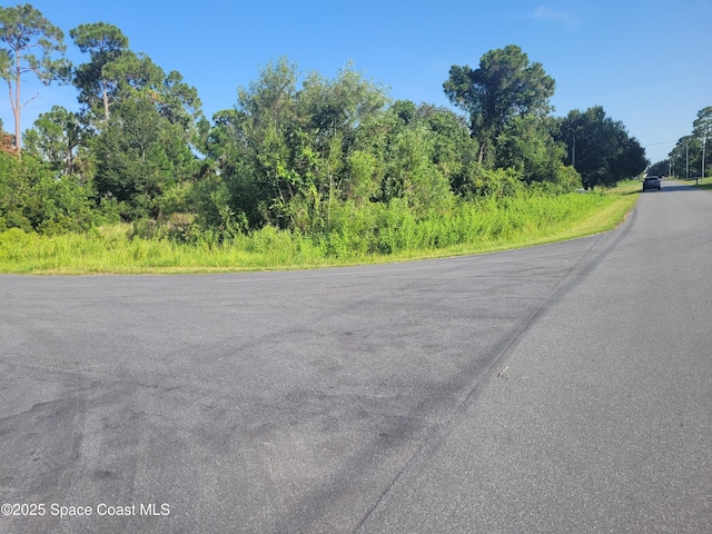0000 Corner, Hester Ricardo, Palm Bay, FL 32909 - photo 2