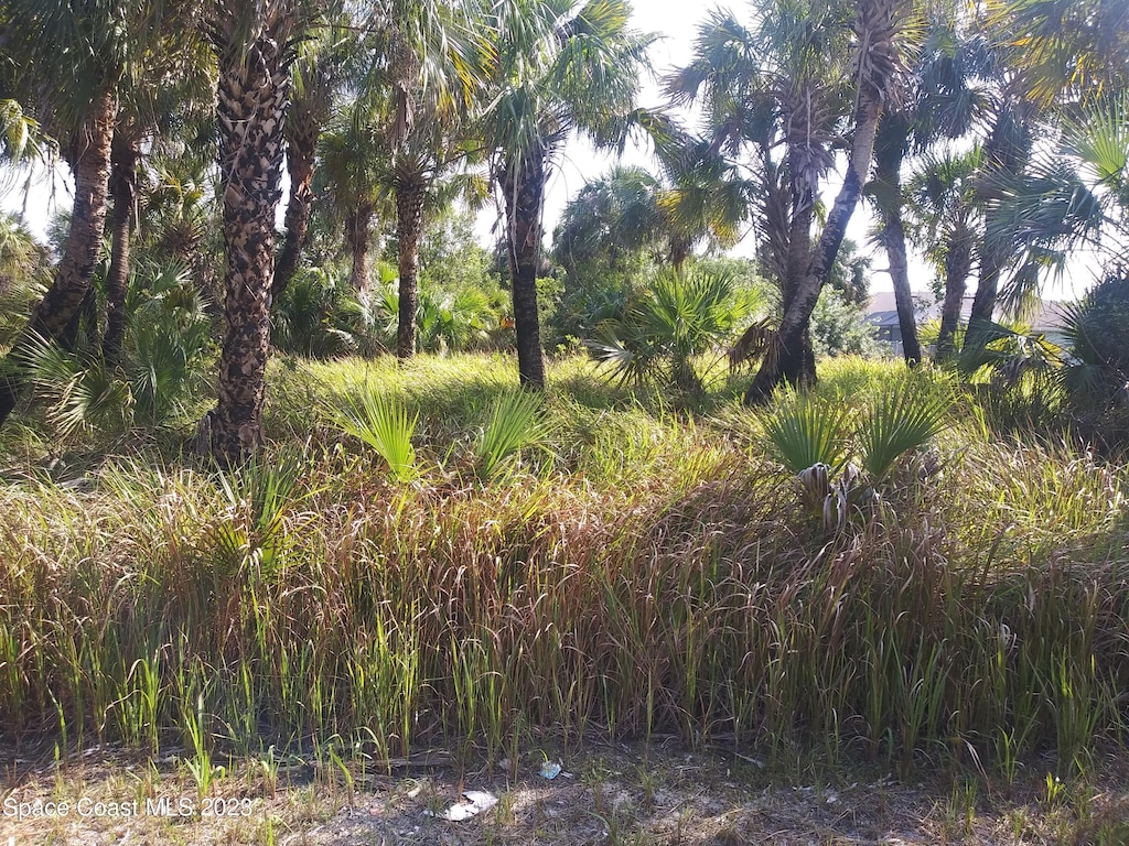622 Heron Rd, Palm Bay, FL 32908 - photo 1
