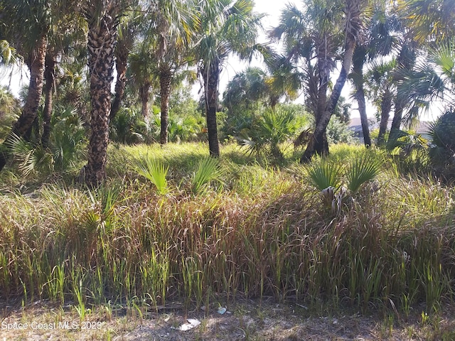 622 Heron Rd, Palm Bay, FL 32908 - photo 1