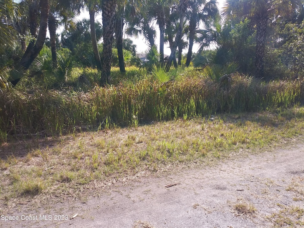 622 Heron Rd, Palm Bay, FL 32908 - photo 2