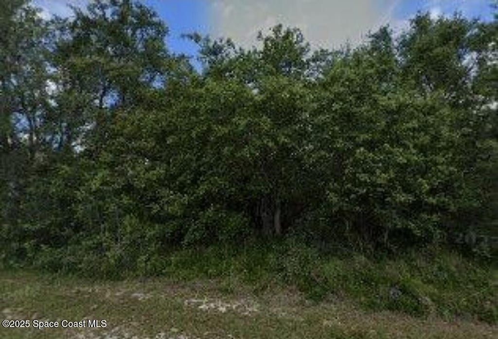 303 Dogfish Way, Poinciana, FL 34759 - photo 1