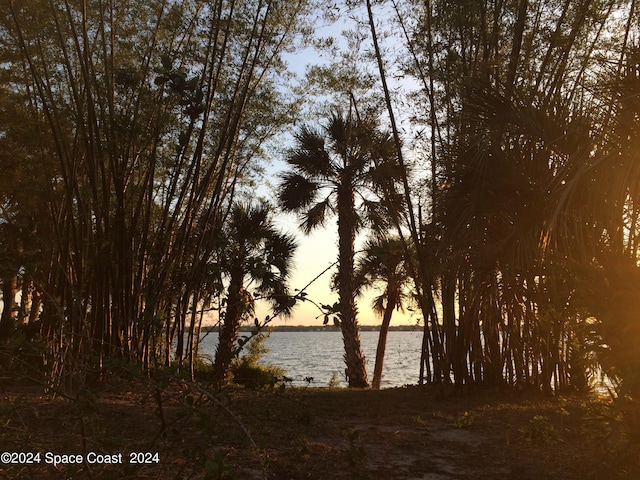 225 S Tropical Trl Unit 423, Merritt Island, FL 32952 - photo 26