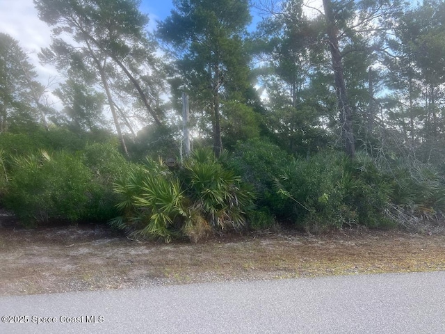 1641 Waldrep St SE, Palm Bay, FL 32909 - photo 1