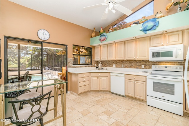 1505 Chesapeake Ct, Melbourne, FL 32940 - photo 9