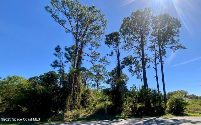 730 Firestone St NE, Palm Bay, FL 32907 - photo 1