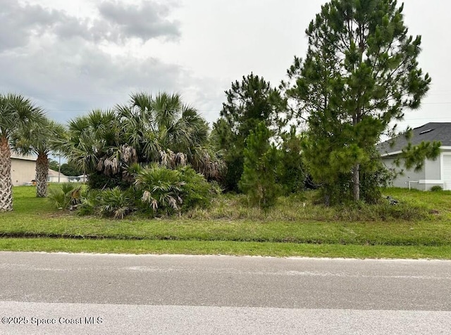 1374 Weiman Rd SE, Palm Bay, FL 32909 - photo 1