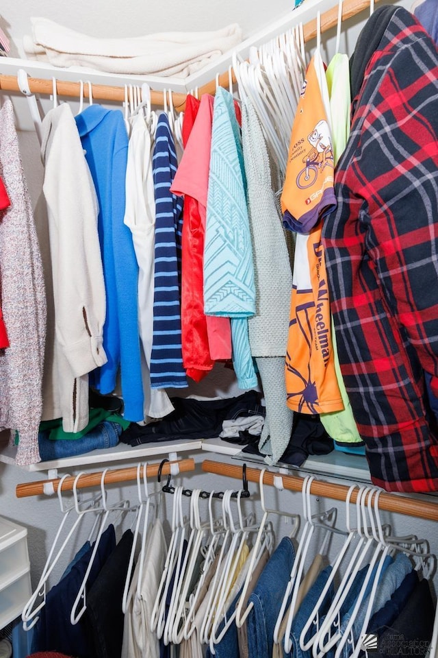 view of walk in closet