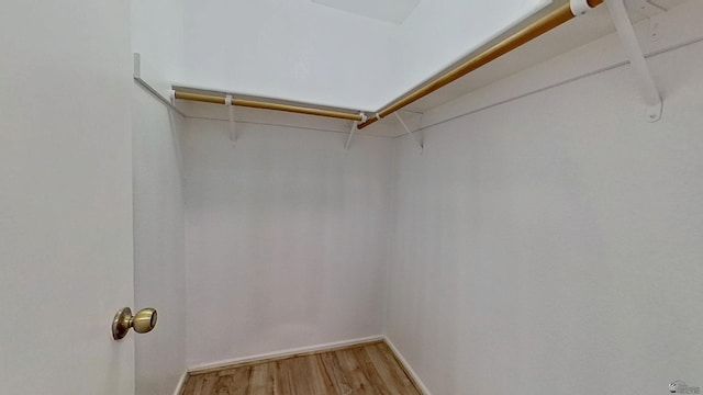 spacious closet with light wood-type flooring