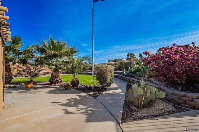 view of property's community with a patio