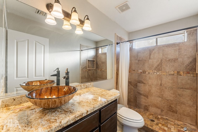 bathroom featuring vanity, toilet, and a shower with shower curtain