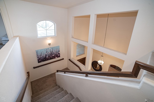 stairway featuring carpet flooring