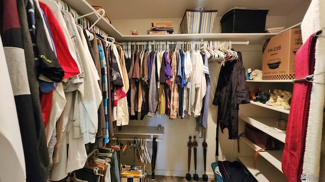 view of walk in closet