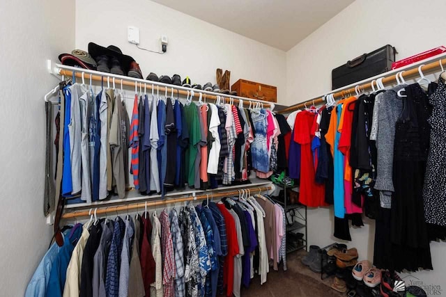 spacious closet with carpet