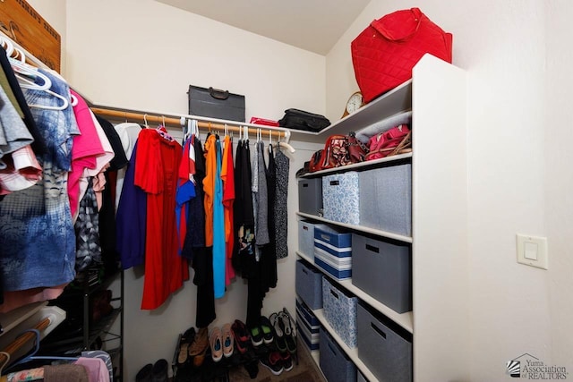 view of spacious closet