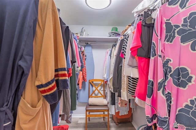 walk in closet featuring wood-type flooring