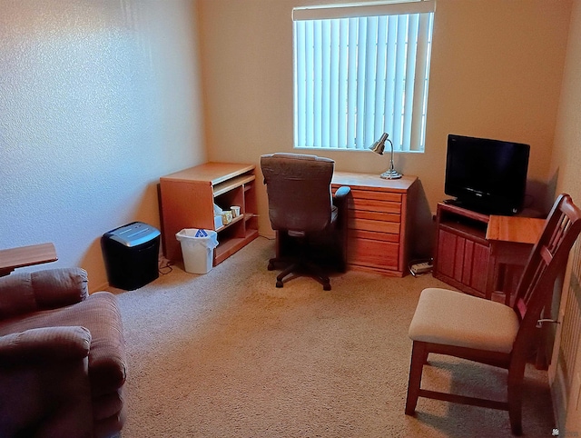 view of carpeted home office