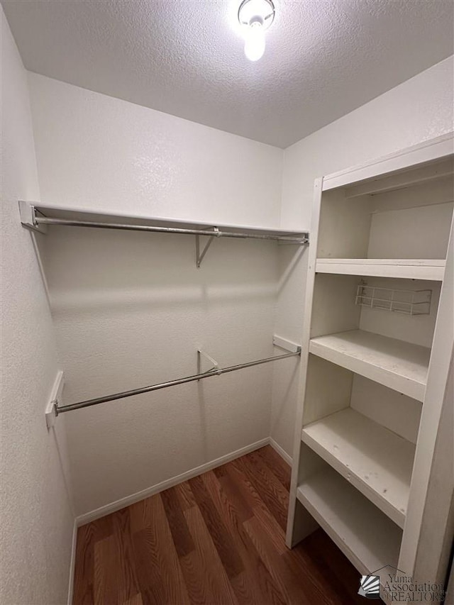 spacious closet with dark hardwood / wood-style flooring