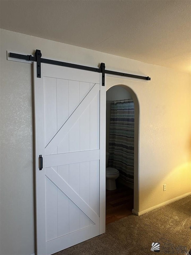 details with carpet and a barn door