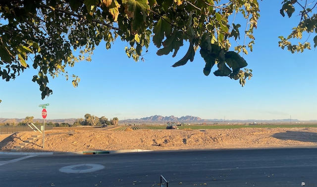 view of yard featuring a mountain view and a rural view