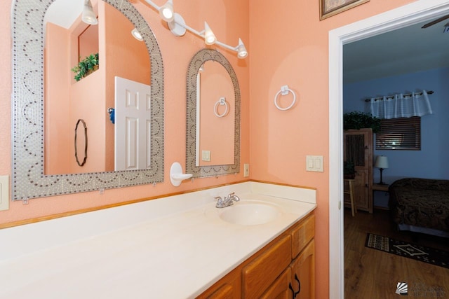 bathroom featuring hardwood / wood-style floors and vanity