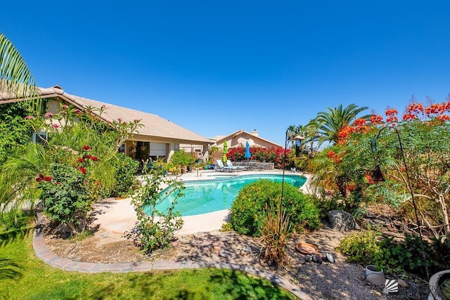 10243 Fairway Loop, Yuma, AZ 85367 - swimming pool with a patio