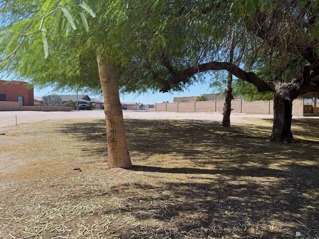 11701 S Kofa St, Wellton, AZ 85356 - photo 6