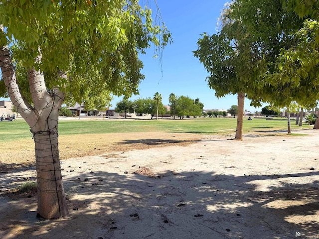 11701 S Kofa St, Wellton, AZ 85356 - photo 11