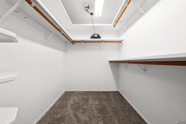 11595 S Prescott Ave, Yuma, AZ 85365 - spacious closet with carpet floors