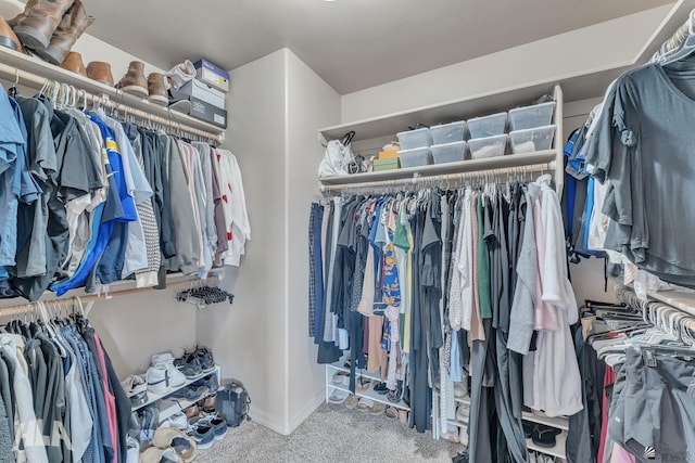 walk in closet with carpet floors