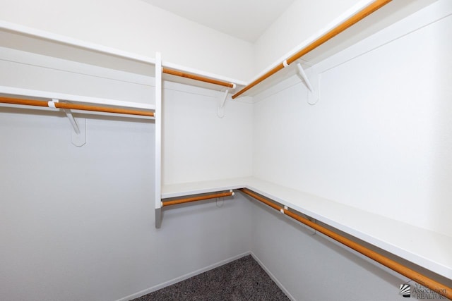 walk in closet featuring dark carpet